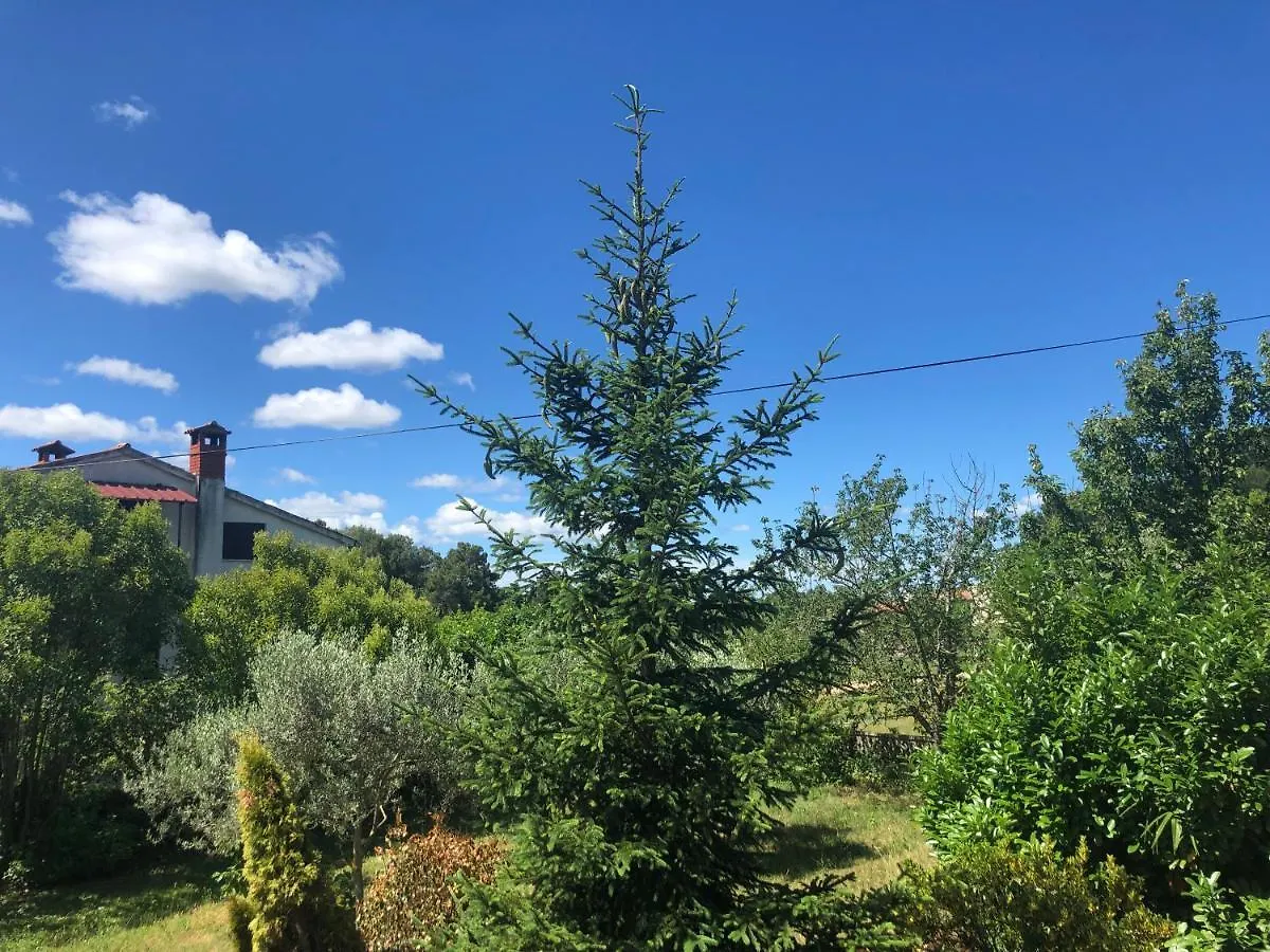Villa Ljubica With Big Beautiful Garden Višnjan Kroatien