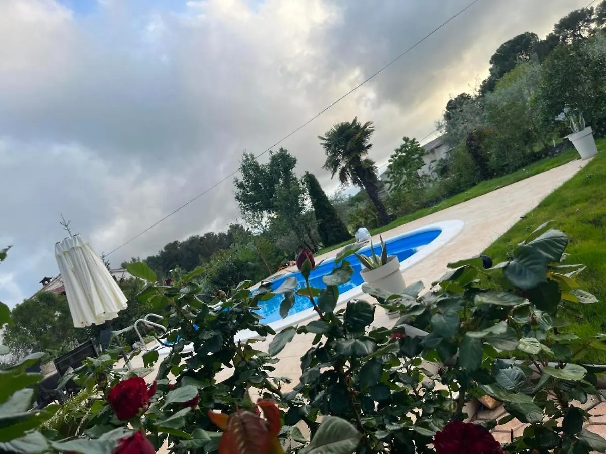 Villa Ljubica With Big Beautiful Garden Višnjan